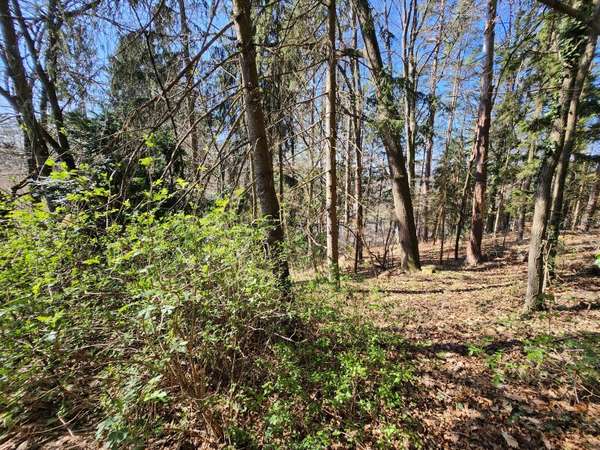 Baugrund in 8045 Graz,12.Bez.:Andritz - Bild 5 Baugrund in 8045 Graz,12.Bez.:Andritz 5