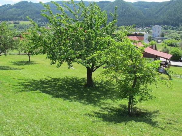 Baugrund in 8650 Kindberg 2