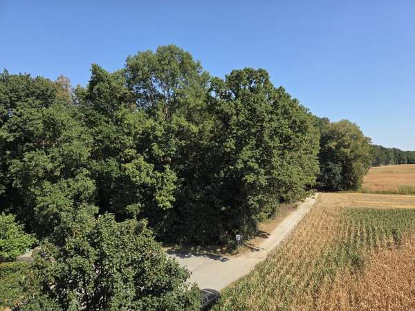 Mietwohnung in 8472 Straß in Steiermark 8