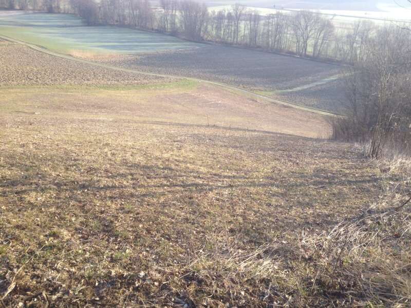 Landwirtschaftsgrund Graz,11.Bez.:Mariatrost