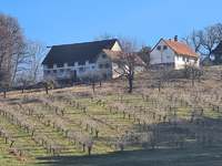 Bauernhaus Sankt Peter am Ottersbach