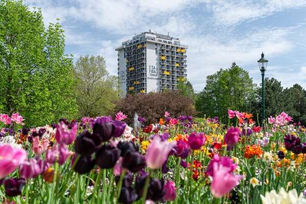 Apartement in 1100 Wien 12
