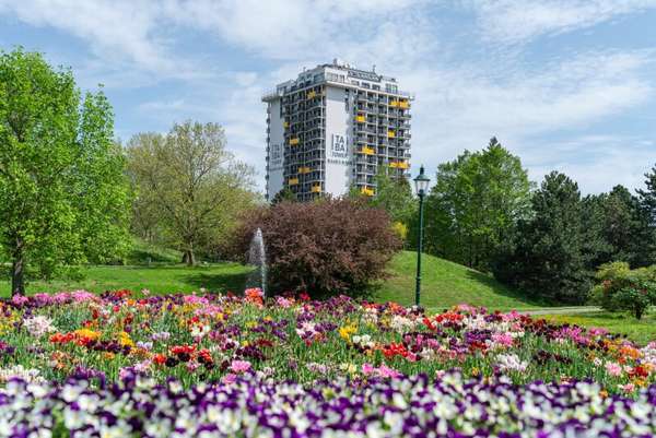 Apartement in 1100 Wien 22