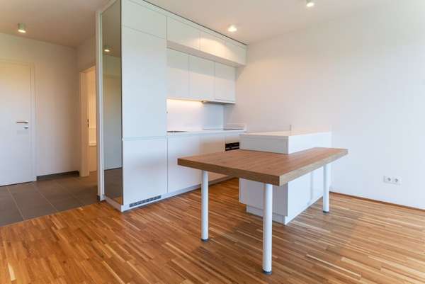 Apartement in 1100 Wien 