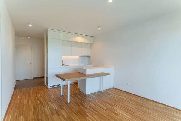 Apartement in 1100 Wien 6