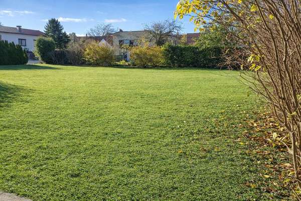 Mehrfamilienhaus in 2404 Petronell-Carnuntum 14