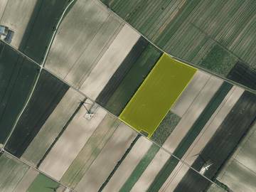 Landwirtschaftsgrund in Höflein