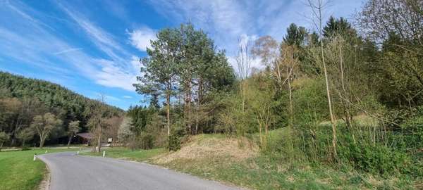 Grundstück in 2831 Scheiblingkirchen-Thernberg 4
