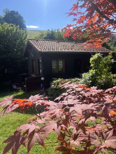 Freizeitgrundstück in 2640 Prigglitz - Bild 21 Freizeitgrundstück in 2640 Prigglitz 21