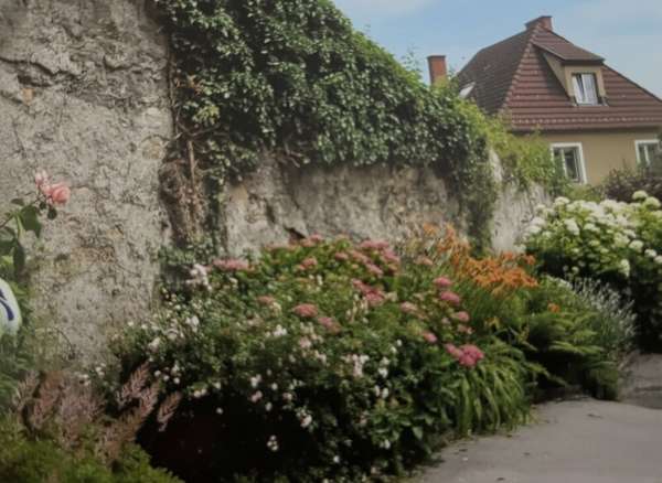 Villa in 2640 Gloggnitz 50
