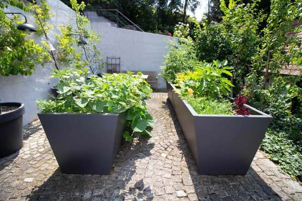 Haus in 7053 Hornstein 22